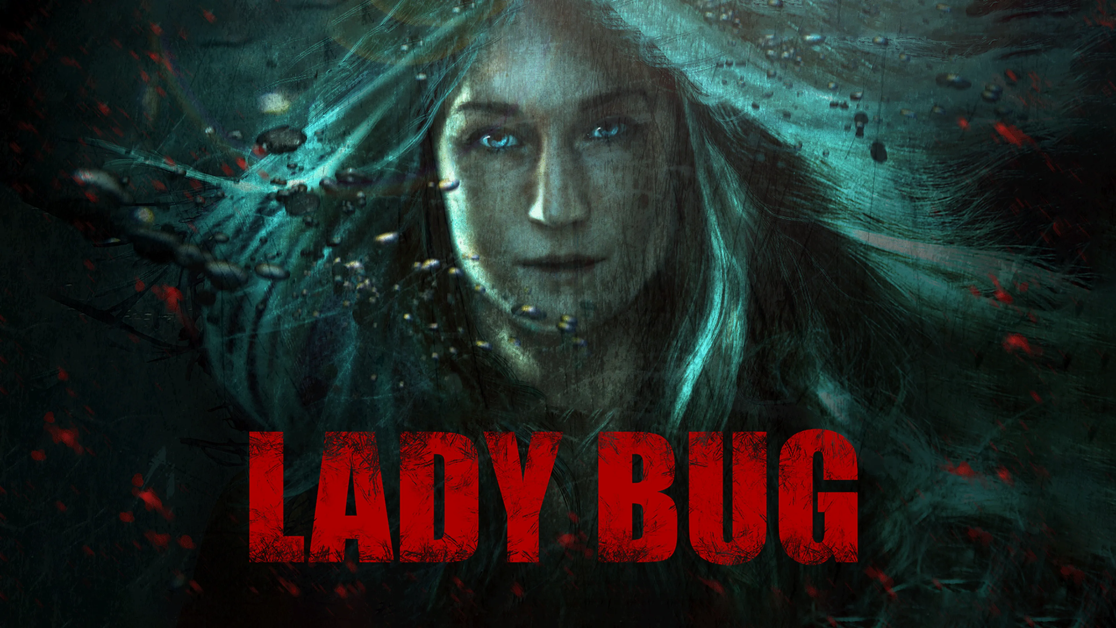 Lady Bug poster